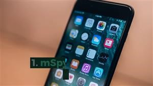 Mspy Online Login