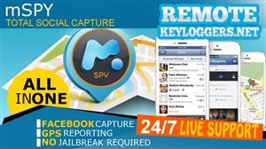 Acceder a Whatsapp Mspy