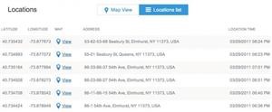 How to Buy Mspy